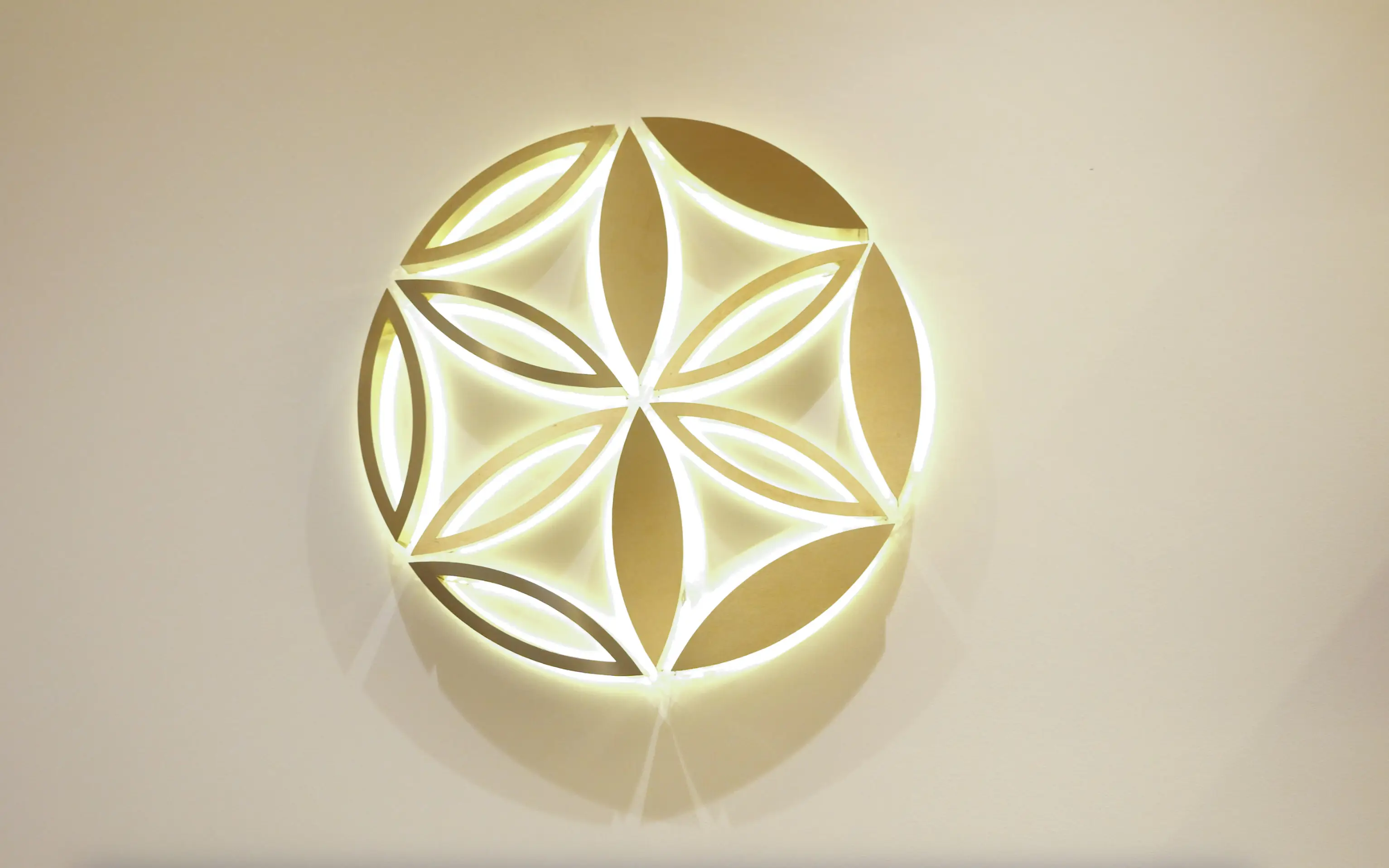 Станьте частью закрытого клуба пациентов Divus